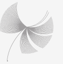 seed